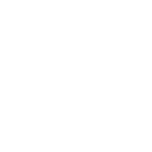 BitstreetX Logo