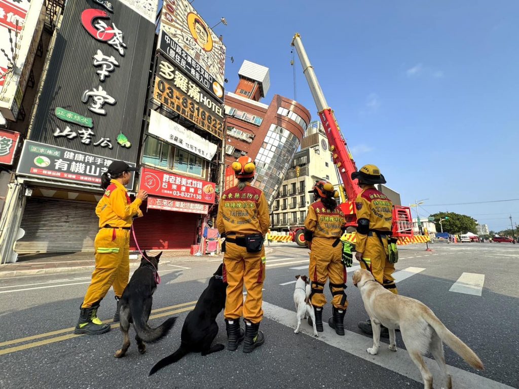 Biệt đội Wang Wang đến rồi! Các chú chó cứu hộ từ các nơi tập trung đến cứu nạn tại Hoa Liên